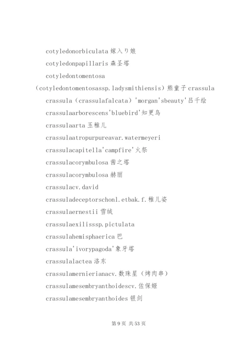 多肉公司建立方案.docx