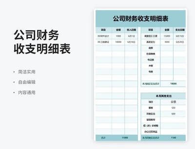 公司财务收入支出明细表