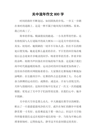 关中流年作文800字.docx