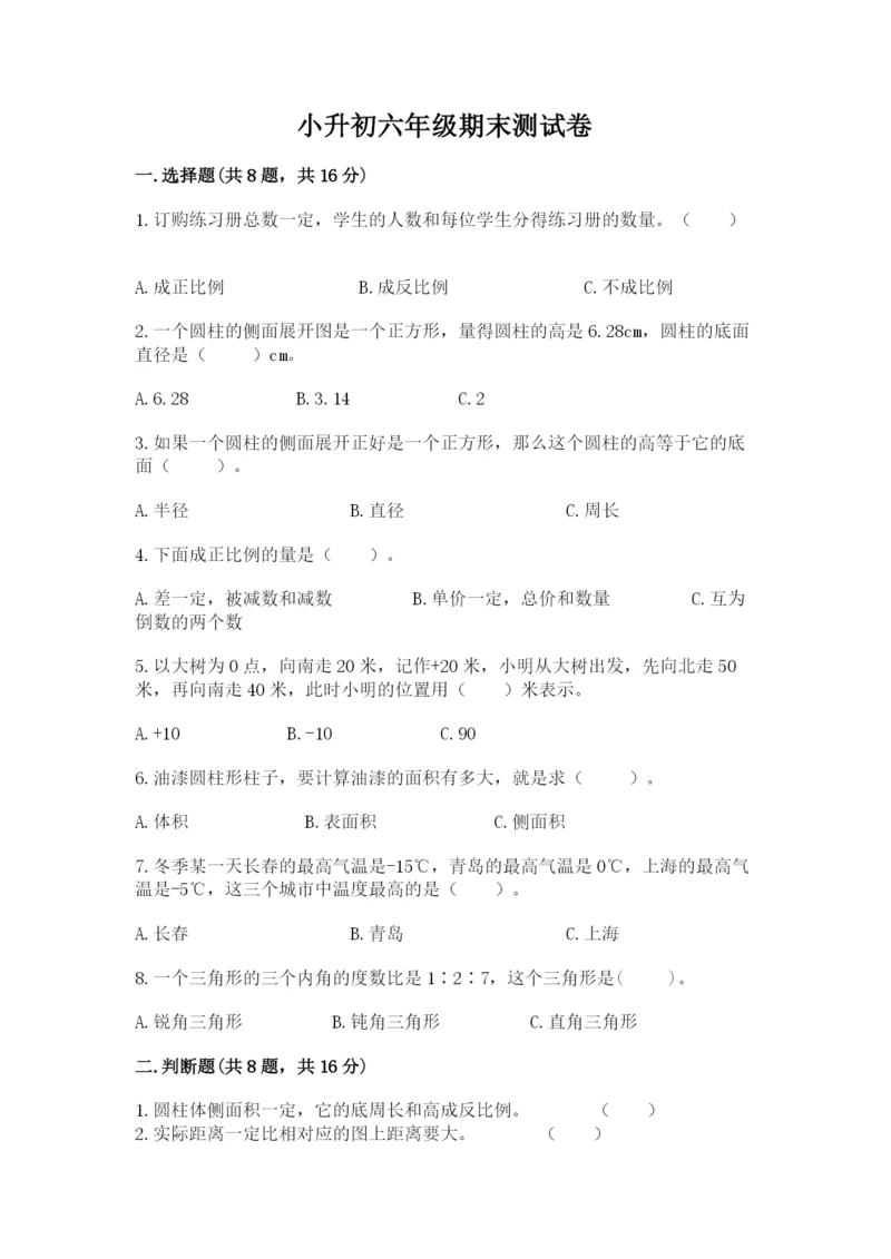 小升初六年级期末测试卷【中心小学】.docx