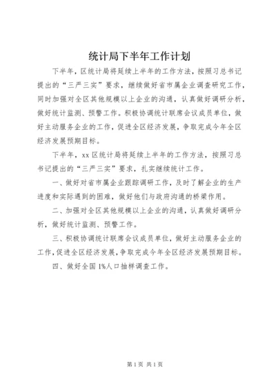 统计局下半年工作计划.docx