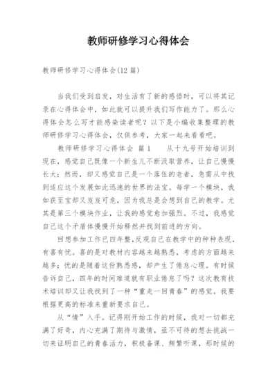 教师研修学习心得体会_2.docx