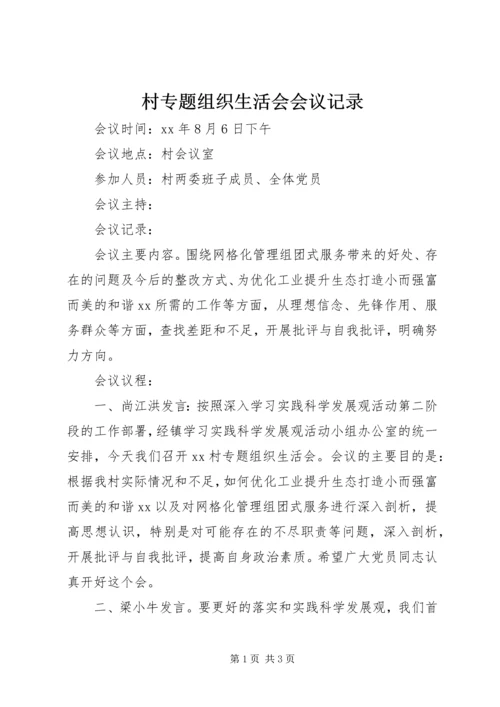 村专题组织生活会会议记录 (2).docx