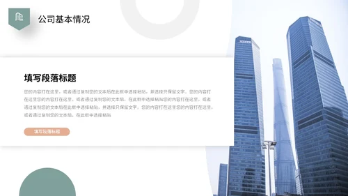 莫兰迪色简约形状商业项目计划书PPT商业计划书