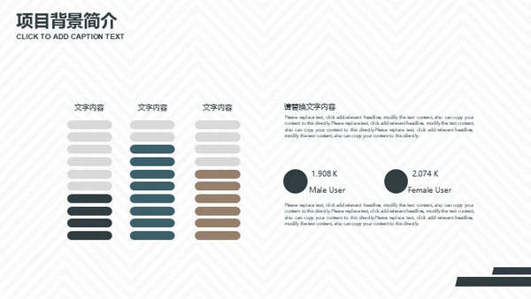 几何风格商业项目计划书通用PPT简报