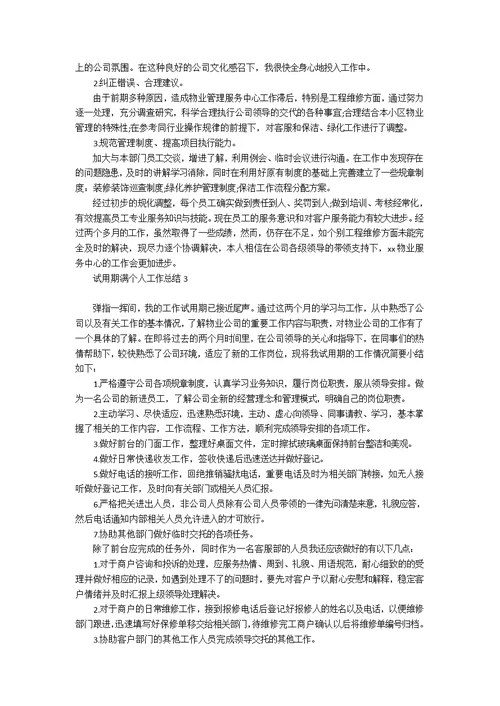 试用期满个人工作总结