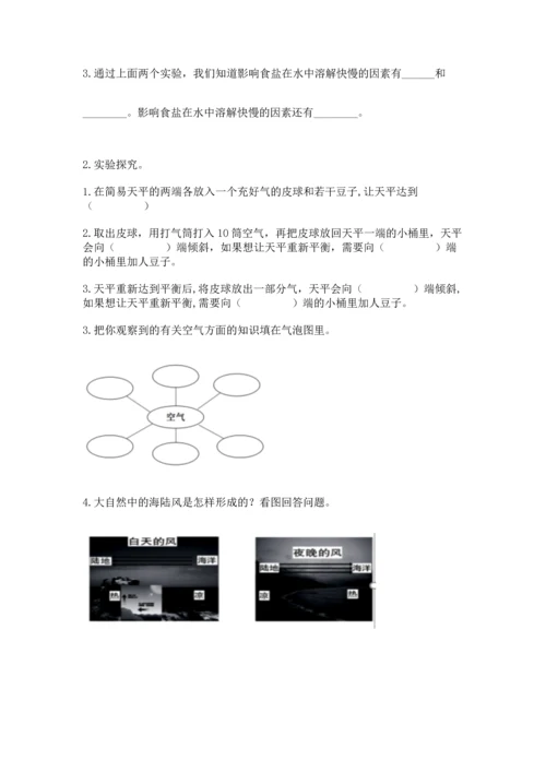 教科版三年级上册科学期末测试卷含解析答案.docx