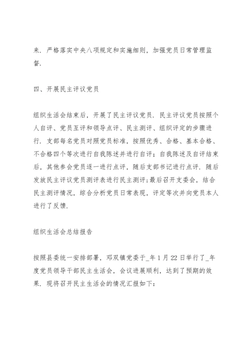 组织生活会总结报告.docx