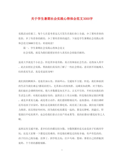 精编关于学生暑期社会实践心得体会范文3000字.docx