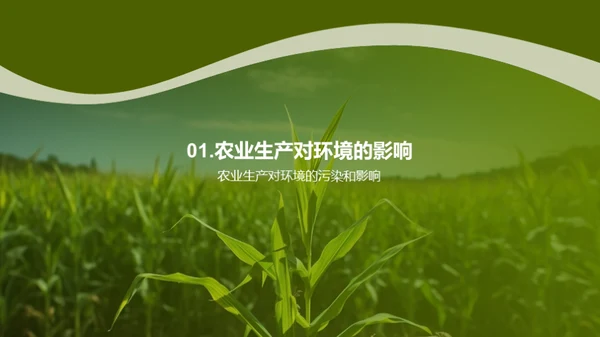 绿色农业：玉米种植新篇章