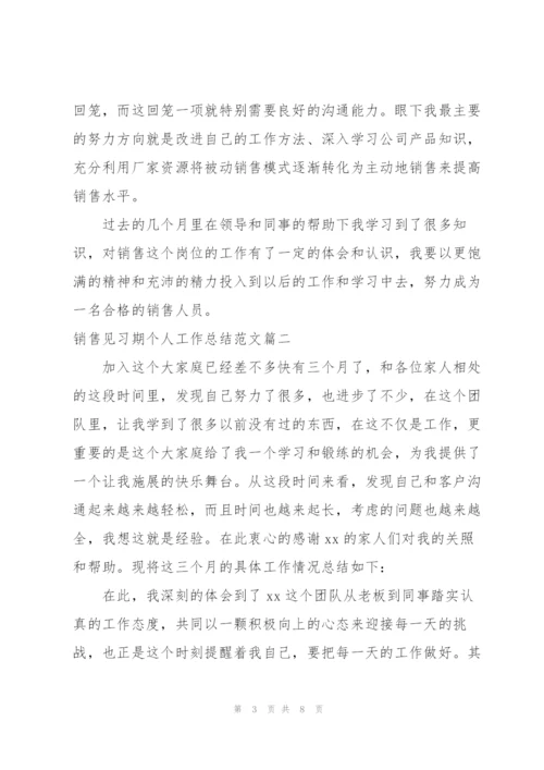 销售见习期个人工作总结范文.docx