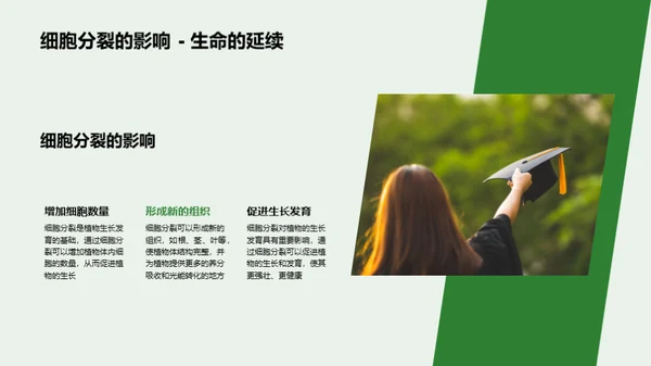 植物生长的秘密