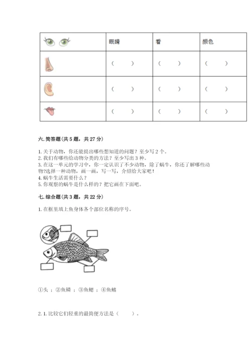 教科版一年级下册科学期末测试卷（轻巧夺冠）.docx