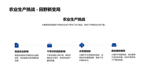 大暑节气深度解析PPT模板