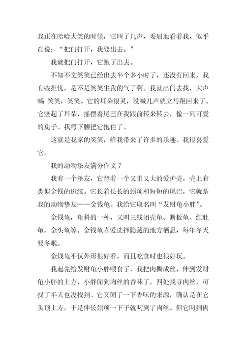 最新我的动物朋友满分作文
