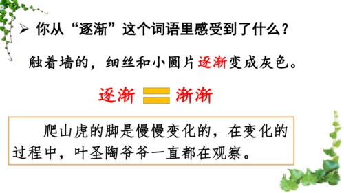 10 爬山虎的脚  课件