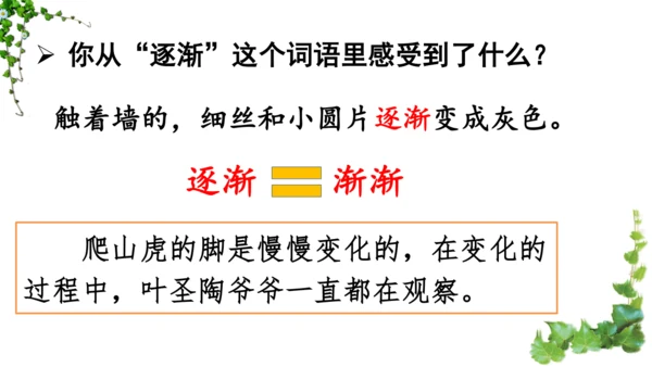 10 爬山虎的脚  课件