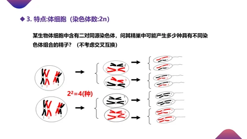 初高中生物课减数分裂作用PPT教学课件