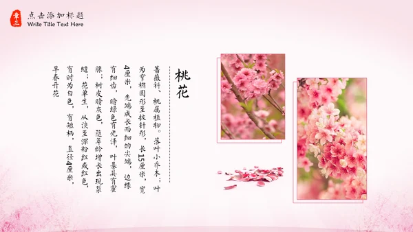 三生三世十里桃花中国风通用PPT模板