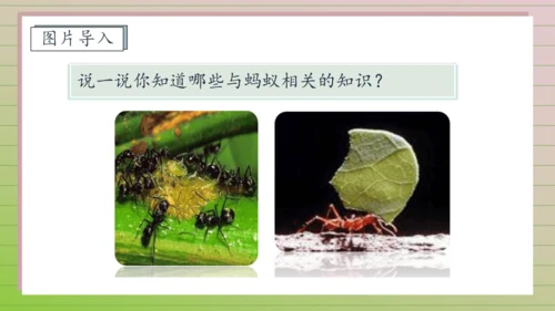 【课堂无忧】11. 一块奶酪 任务型教学（课件）