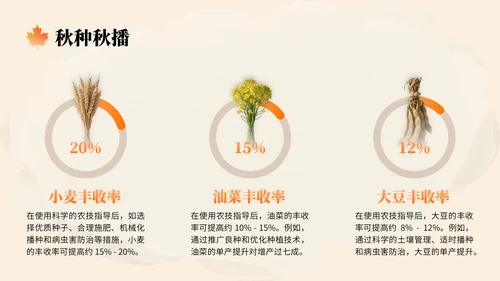 橙色中国风秋分节气文化知识讲座PPT模版