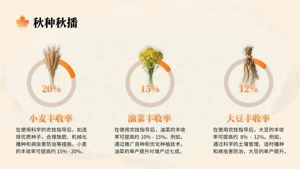橙色中国风秋分节气文化知识讲座PPT模版