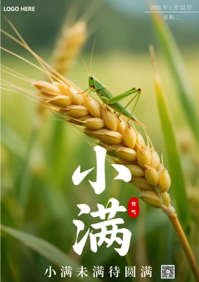 二十四节气小满海报(蚂蚱)