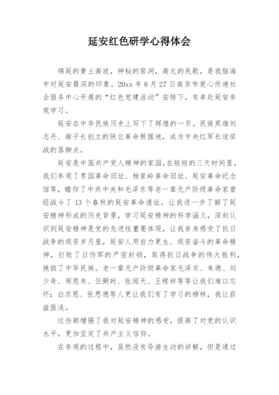 延安红色研学心得体会.docx