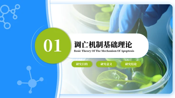 蓝绿色简约风生物学毕业答辩ppt模板