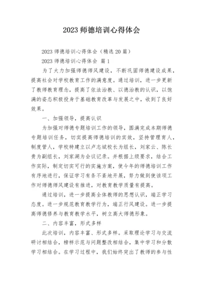 2023师德培训心得体会.docx