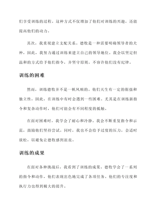 德牧的训练感想
