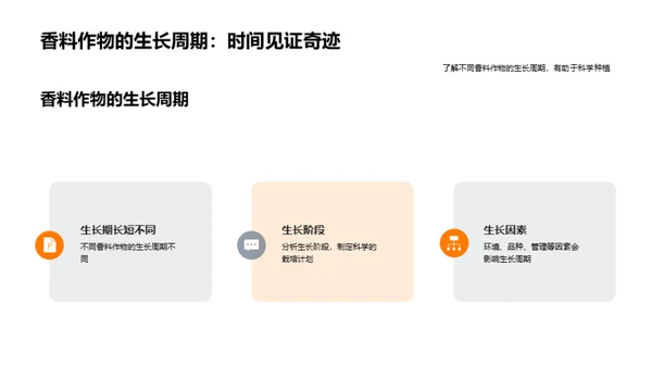 掌控香料作物：从种植到收获