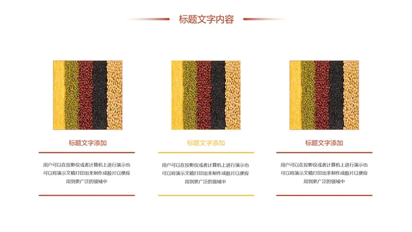 时尚有机生态五谷杂粮粗粮王健康养生PPT模板