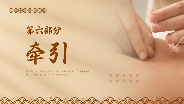 棕色简约中医适宜技术PPT模板宣传PPT动态PPT
