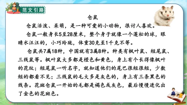 统编版2024-2025学年语文五年级上册第五单元习作指导介绍一种事物（课件）