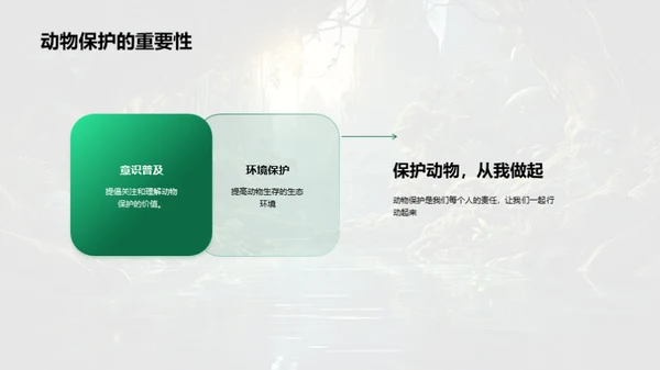 探秘动物世界