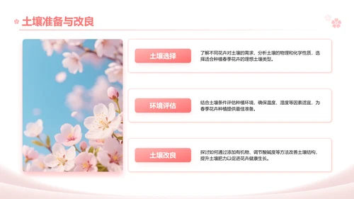 粉色实景风春季花卉主题汇报PPT模板