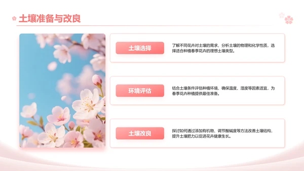 粉色实景风春季花卉主题汇报PPT模板