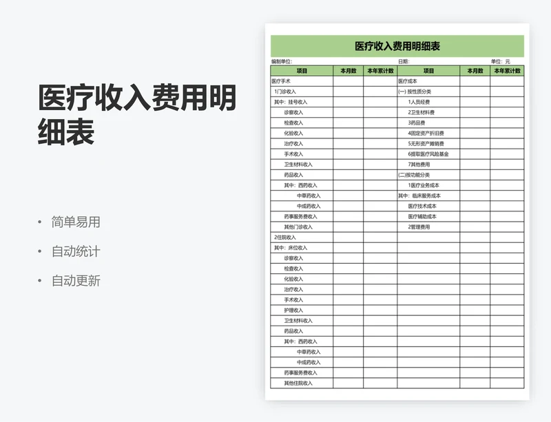 医疗收入费用明细表