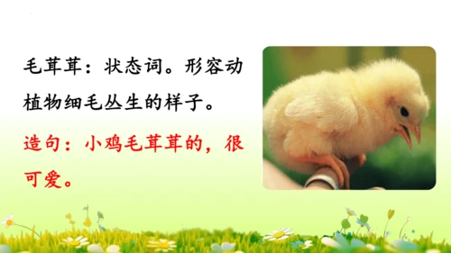 11.我是一只小虫子 课件