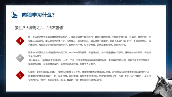 如何打造狼性团队培训狼文件通用PPT模板