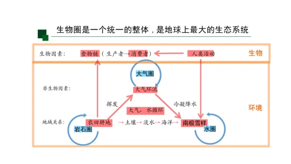 1.2.3 生物圈是最大的生态系统 课件（共28张PPT）