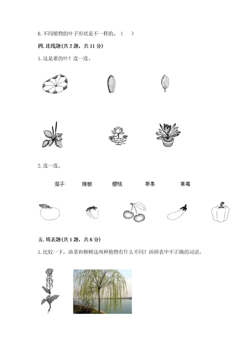 教科版科学一年级上册第一单元《植物》测试卷附完整答案（有一套）