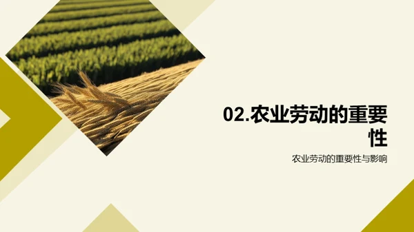 农业劳动之美