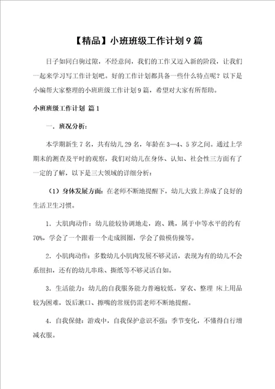 小班班级工作计划9篇