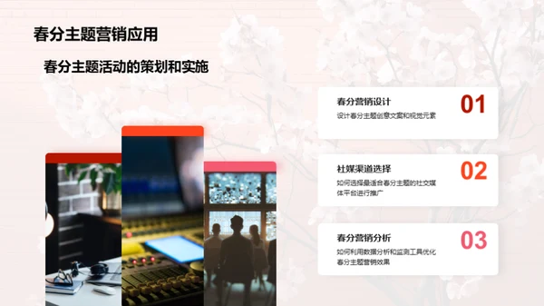 春分营销新媒体解析