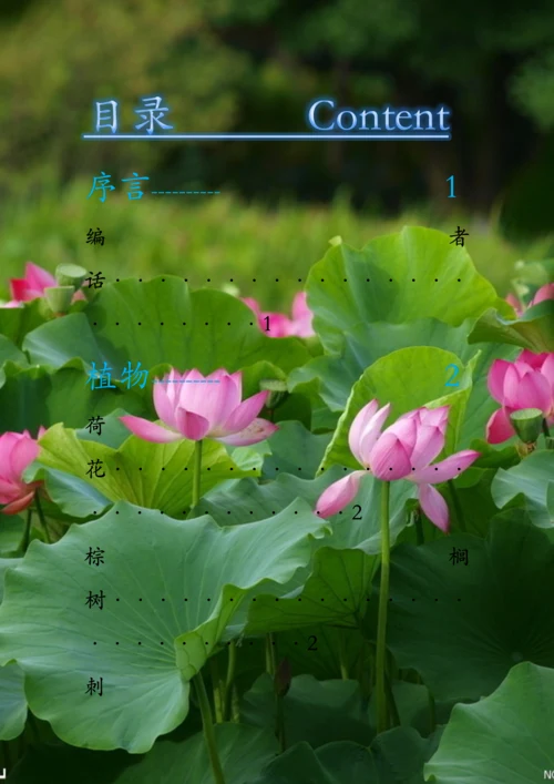 七年级上册生物学校园生物种类调查分析报告.docx