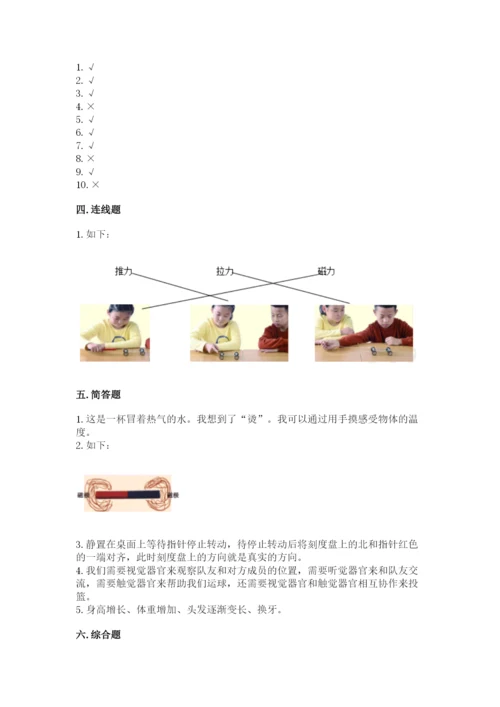 教科版小学科学二年级下册期末测试卷【达标题】.docx