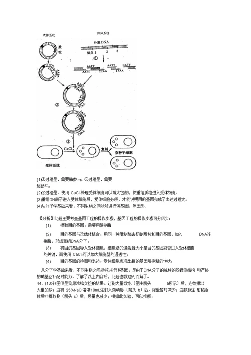 2019高三生物辅导教材(第12讲)