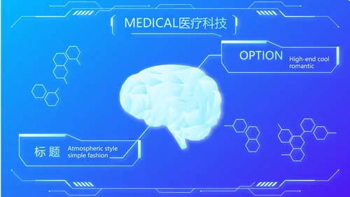 蓝色科技智慧医院医疗科技信息化建设总结PPT